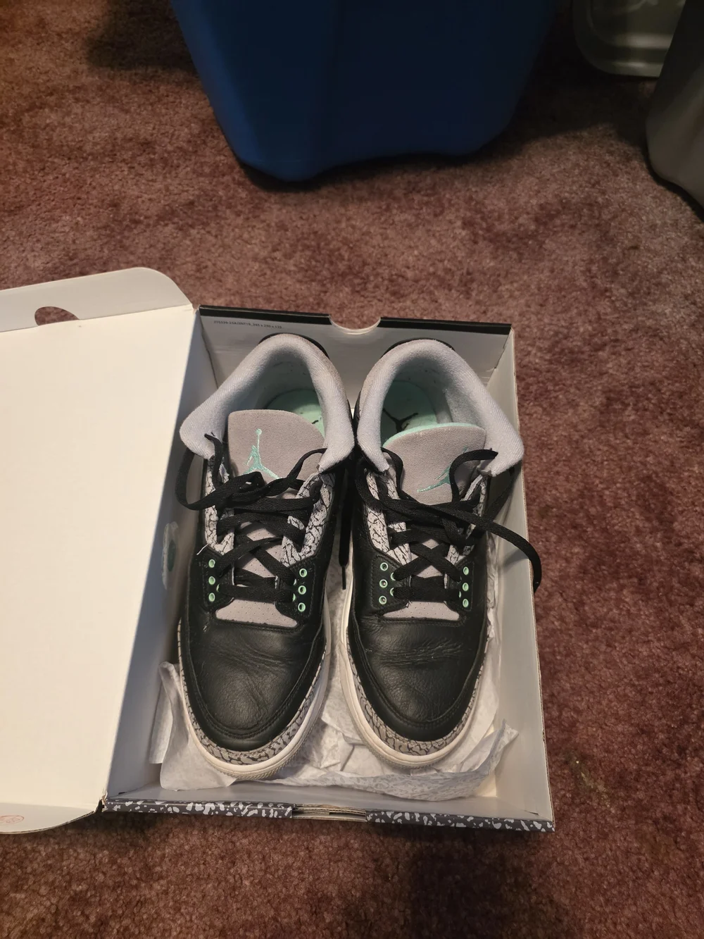 Mens Jordan 3 retro shoes